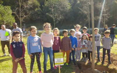 Dia del Medi Ambient: Plantada d´Arbre Escola